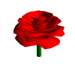 Mathematica Visualization - A Rose for Valentine's Day